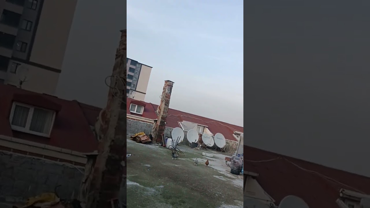 13 Şubat 2026