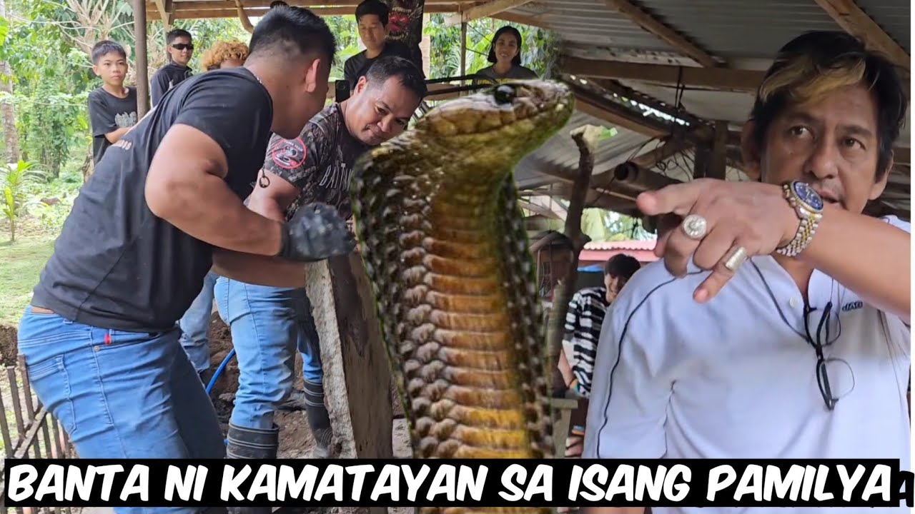 COBRA LABAN SA KAMANDAG NI COBRA KING #cobraprince