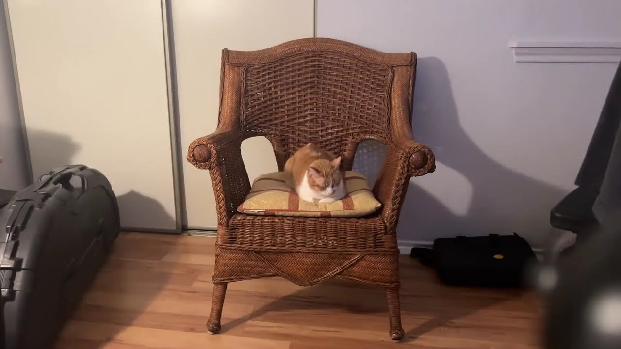 Garfield chilling