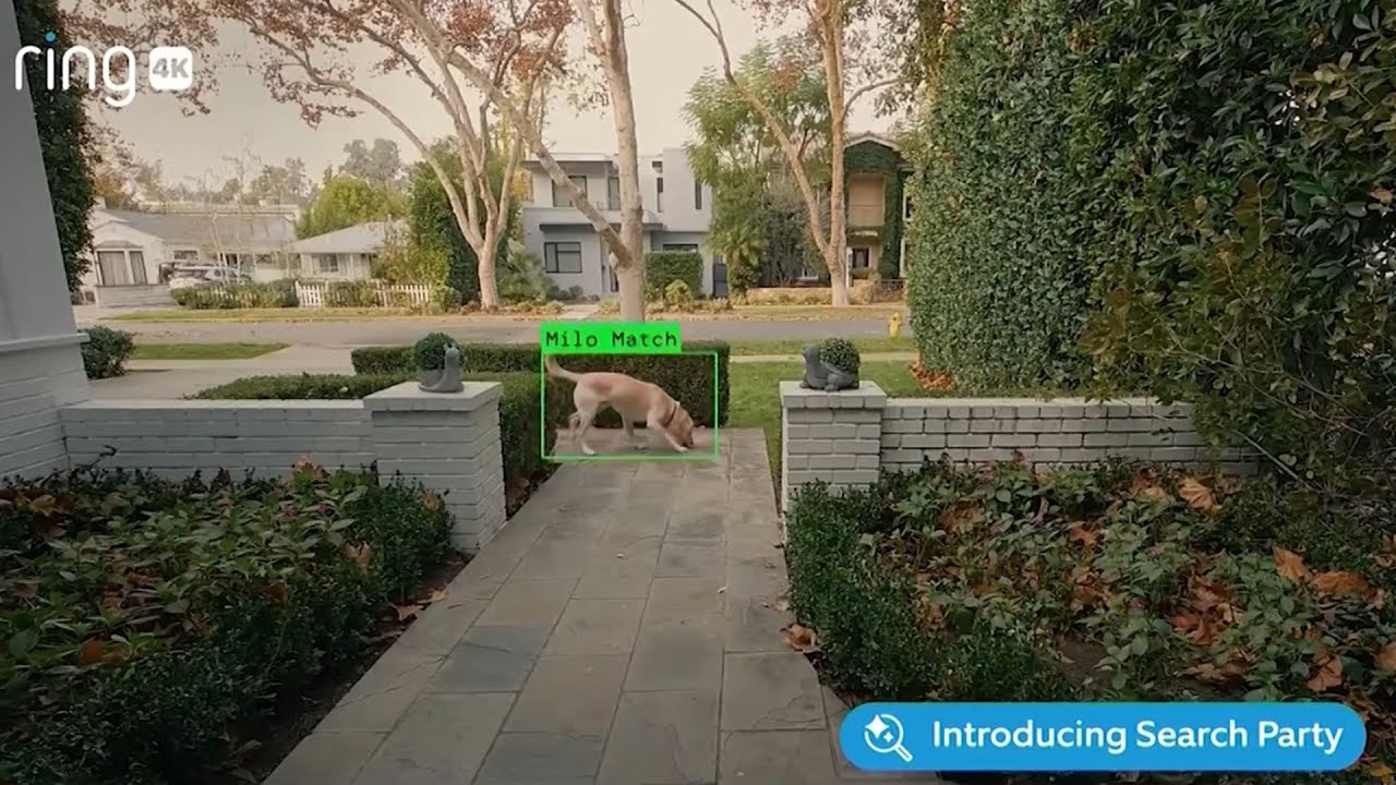 Sinister surveillance fears grow after Super Bowl spotlight on AI doorbells