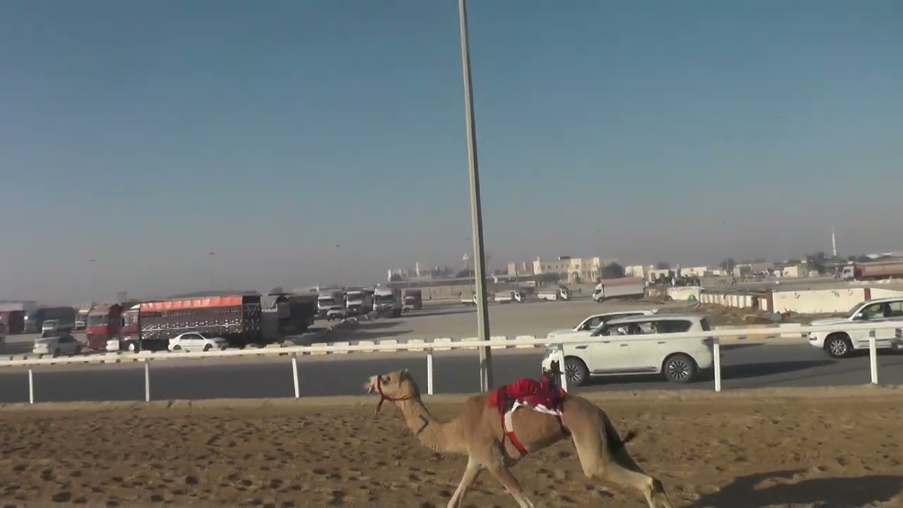 ش8/بكار / صعوب /سرابة /ناصربن ناصر المري/01:48:93