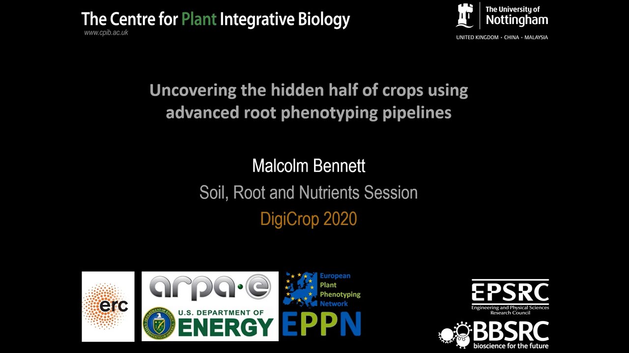 Malcolm Bennett - Uncovering the hidden half of crops using advanced root phenotyping pipelines