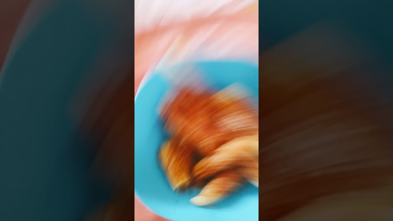 Elotitos