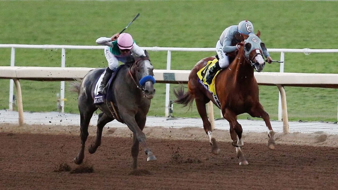2016 Breeders' Cup Classic - NBC Broadcast