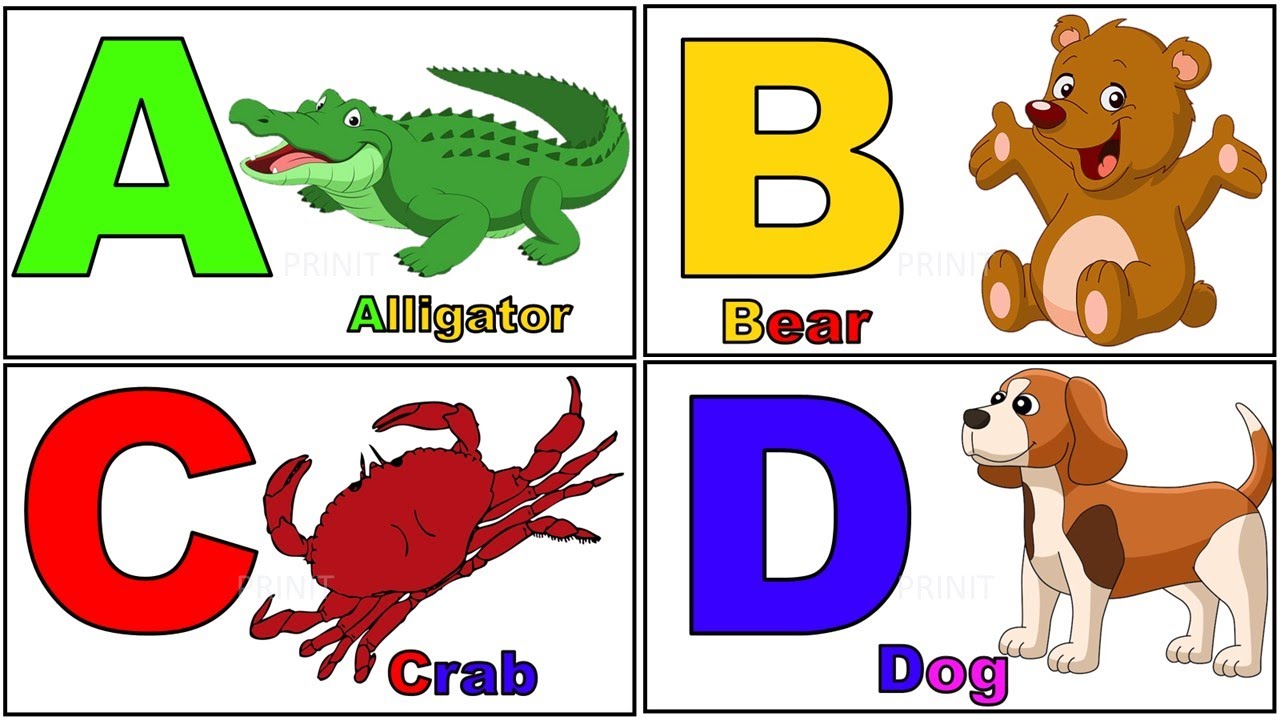 English alphabet |Learn Alphabet A to Z | ABC Preschool Book Learning A for APPLE | @PRINIT1419 ​