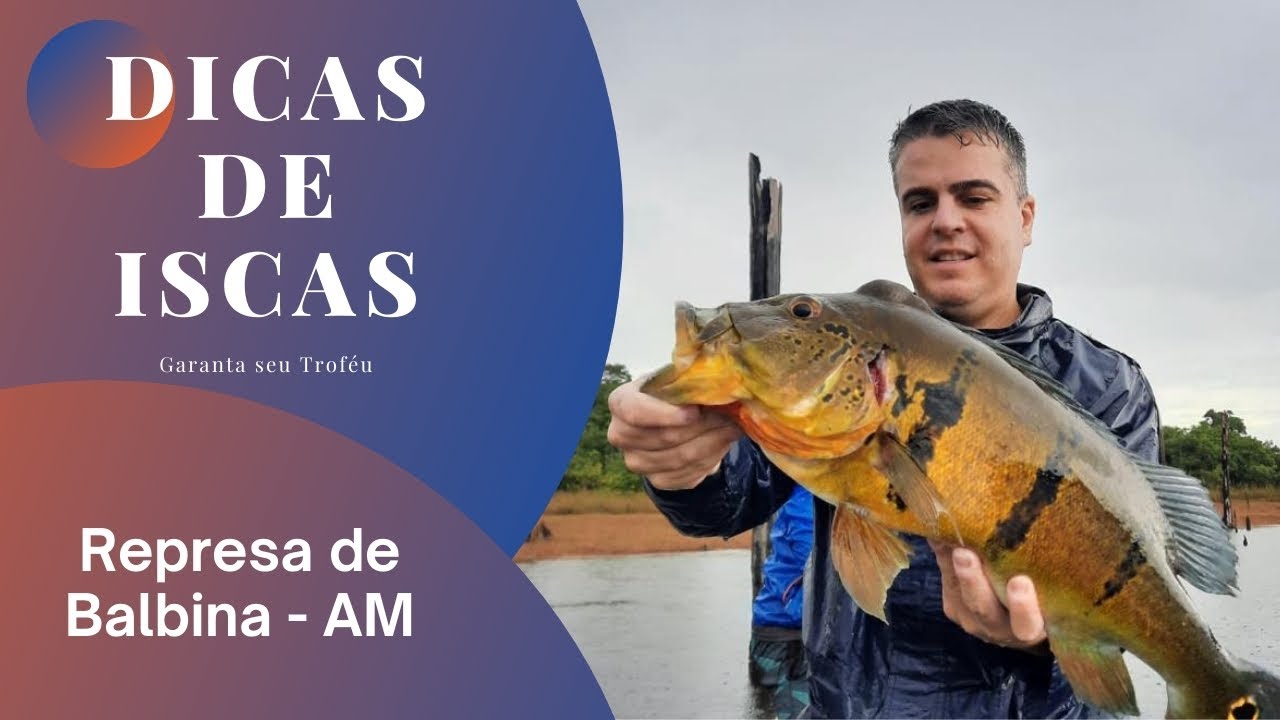 Dicas de Isca Artificial para Pescaria em Balbina - Amazonas