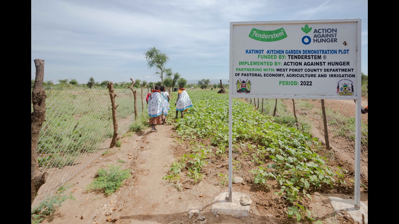Action Against Hunger - Climate-Smart Kitchen Garden Project