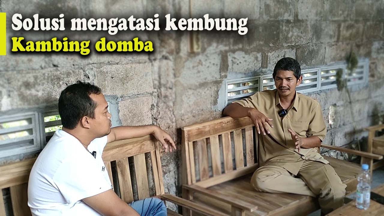 Apa dan bagaimana mengatasi penyakit kembung pada kambing domba, bersama Drh.Budi Pramono( Part 2 )