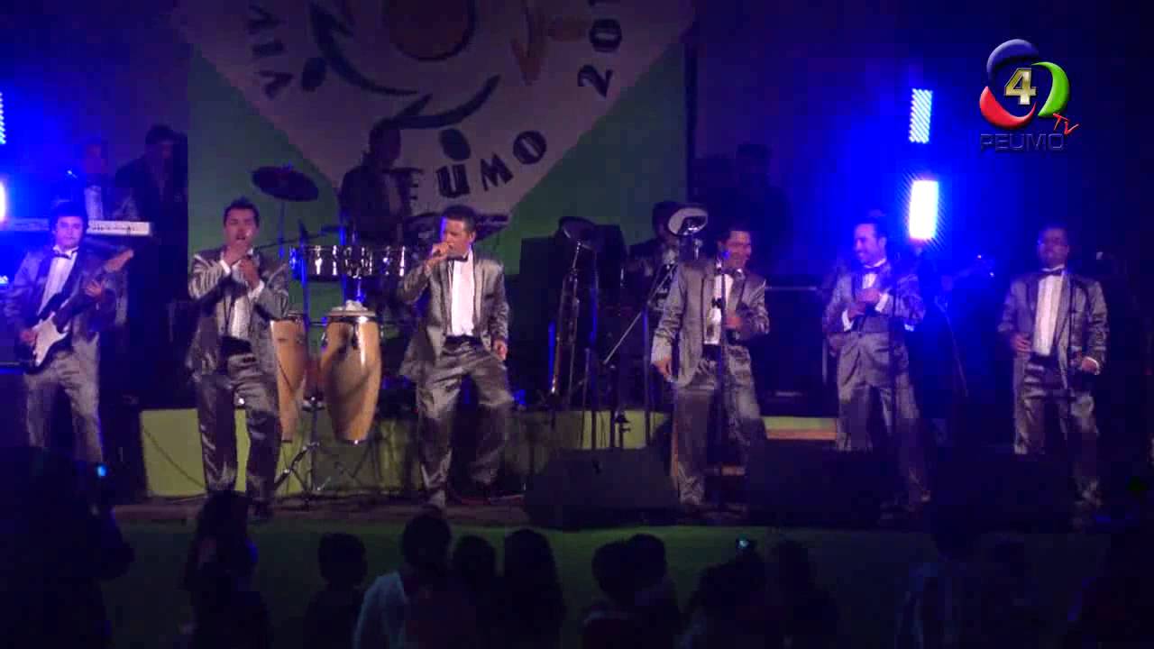 Carnaval Peumo 2013 -  SONORA JUVENTUD