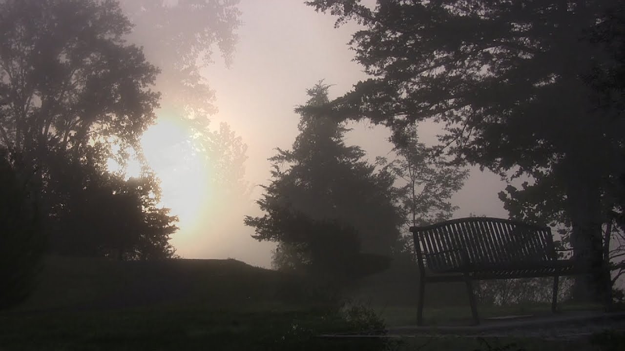 Fog and the Never Ending War (Philosophy and Music)