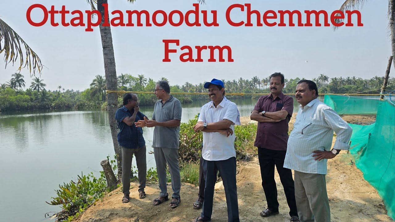 ഒറ്റപ്ലാമ്മൂട്‌ ചെമ്മീൻ കെട്ടിലേക്കു ഒരു ഉല്ലാസ യാത്ര  // A Journey to Ottaplamoodu Chemmeen Farm