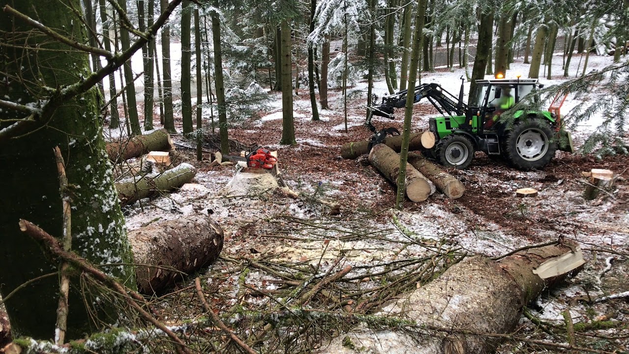 Holz rücken mit Deutz DX 3.50