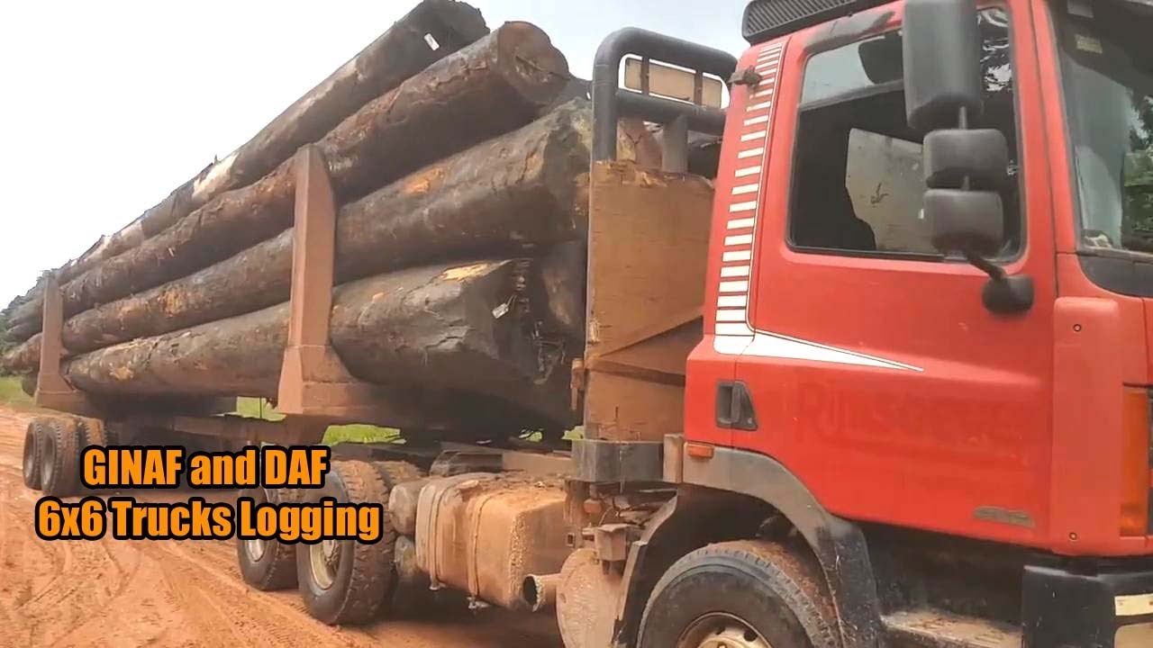 GINAF 380 And DAF 85 CF Truck Trailer Nederland Loading Wood