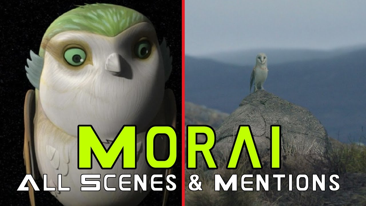 Morai: All Scenes and Mentions (TCW, REBELS, MANDO, AHSOKA)