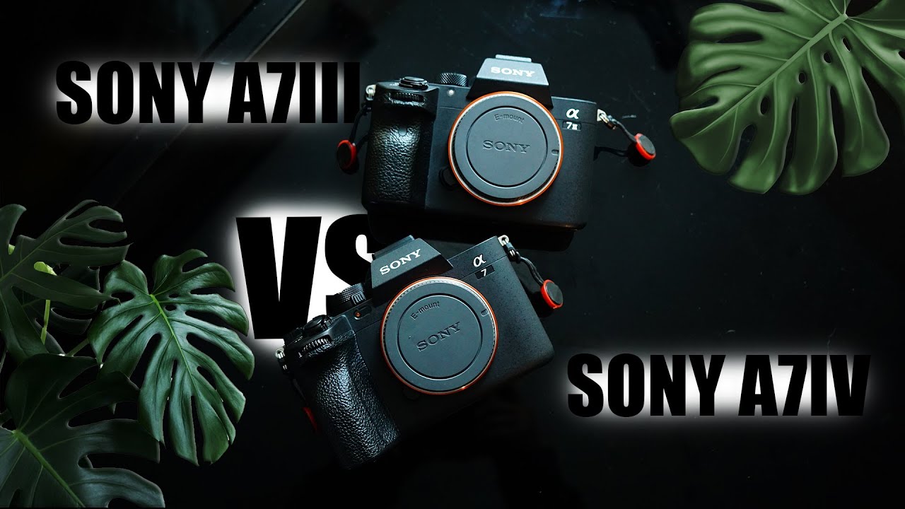 QUE TAN BUENA ES LA SONY A7IV❓ vs A7III ‼️ AQUI VEREMOS LOS VERDADEROS AVANCES 📸