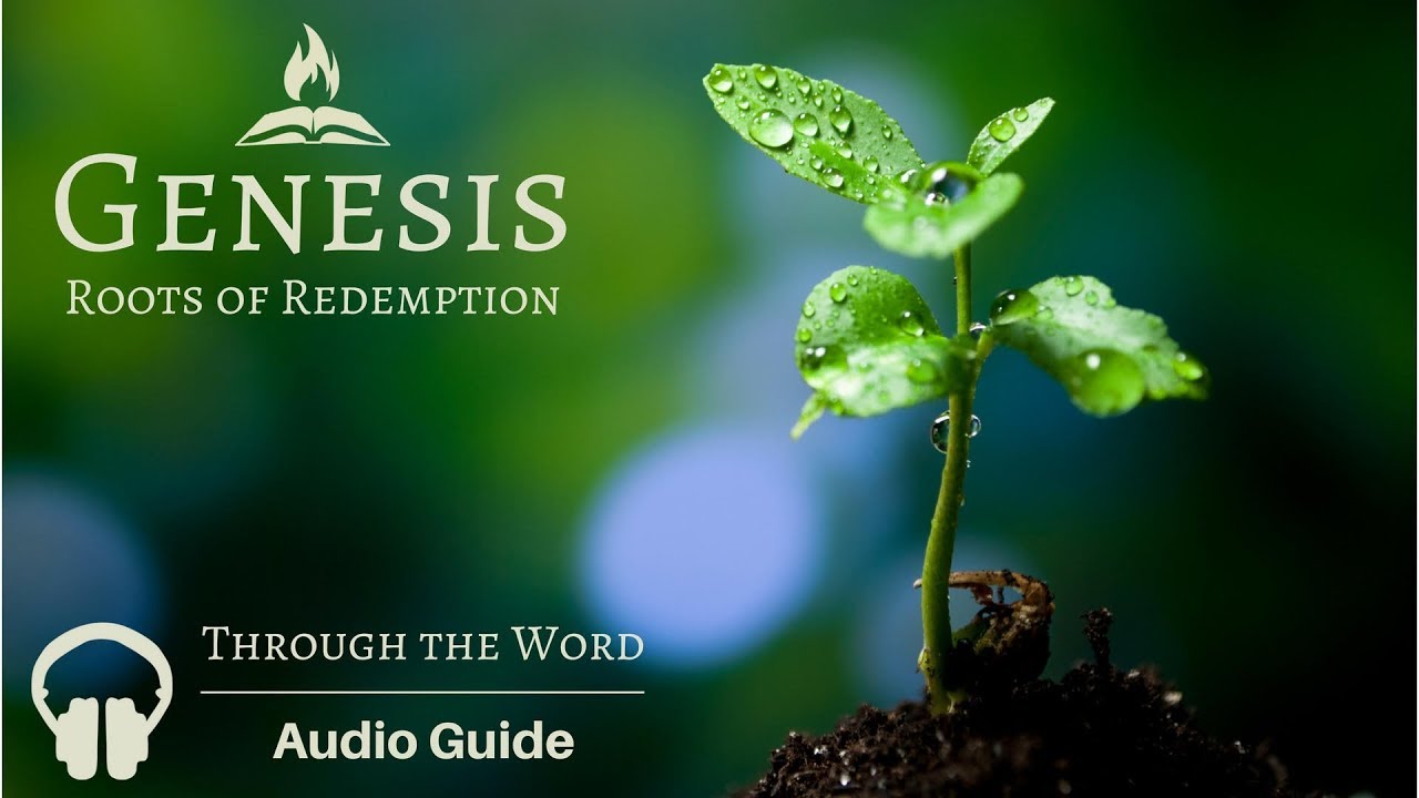 Genesis 1 Explained | Audio Guide by Through the Word