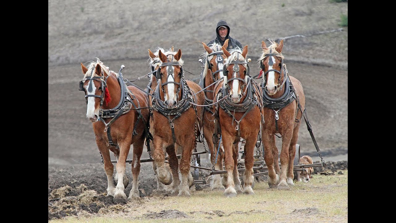 Palouse Empire Planting