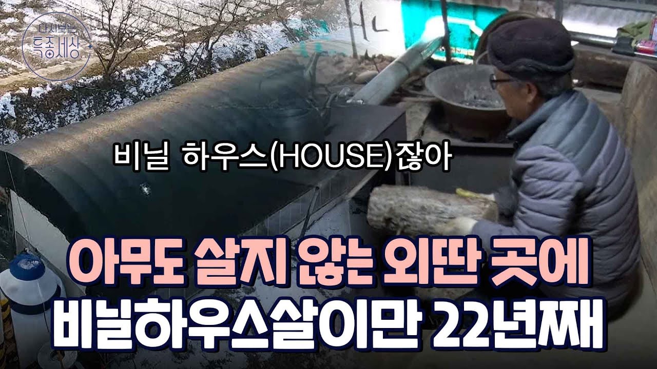 무인도 비닐하우스, 서로에게 의지한 채 22년째 사는 부부｜다시보는 특종세상 EP.462