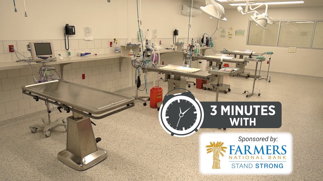 EGCC, Angels for Animals Partner for New Vet Tech Program | 3 Minutes With 12-10-20