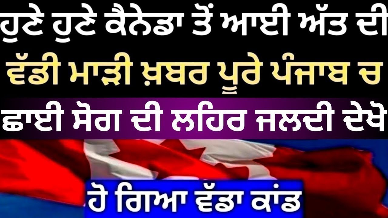punjabi news - punjabi news today live - punjabi news live - live punjabi news - punjab news today