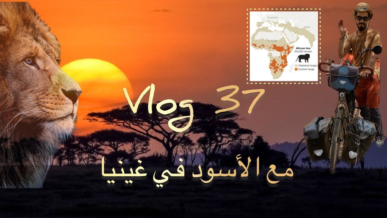 #vlog 37.   المبيت في محمية  الأسود دون أن أعلم في غينيا