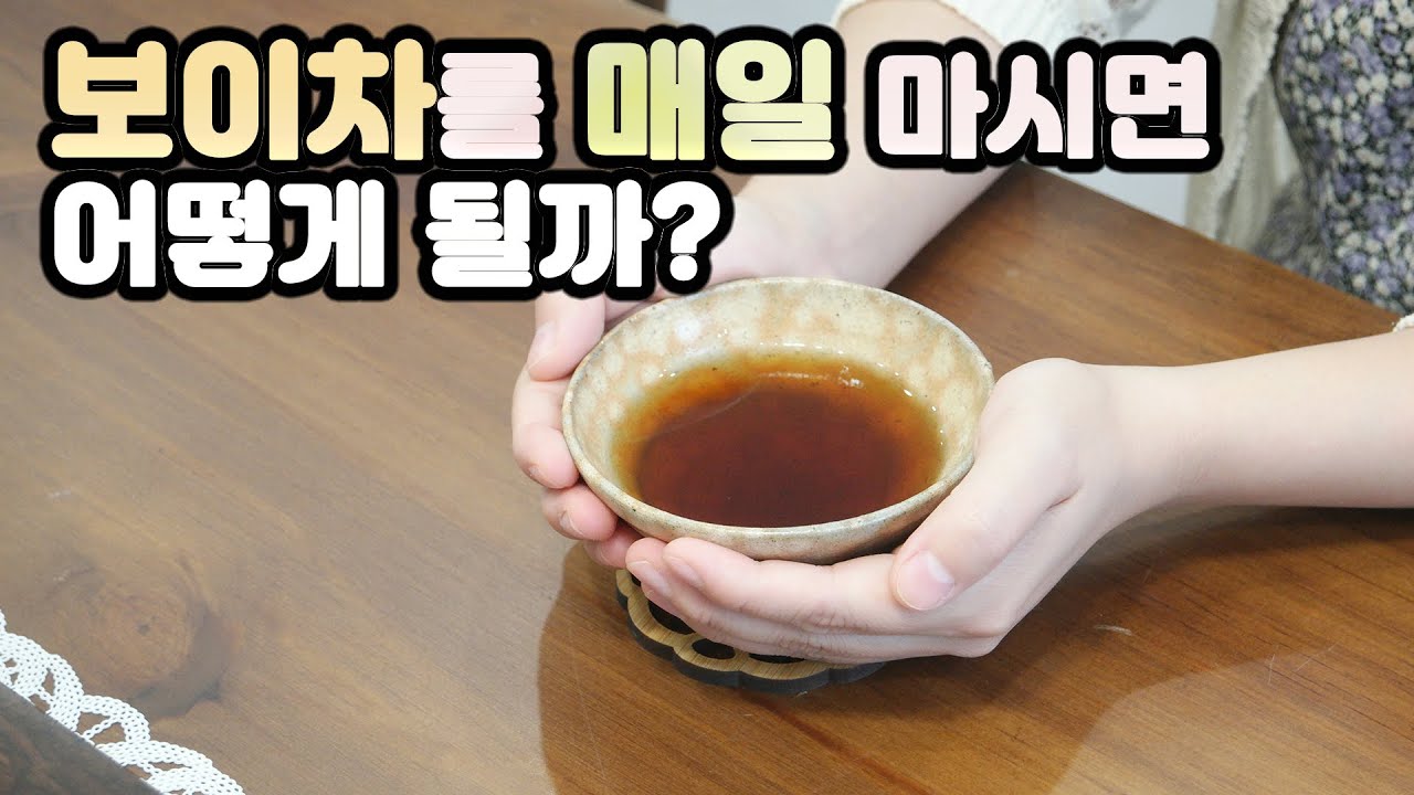 [보이차체험담]😸보이차를 매일 마시면 어떻게 될까?😼[지유명차영종점]