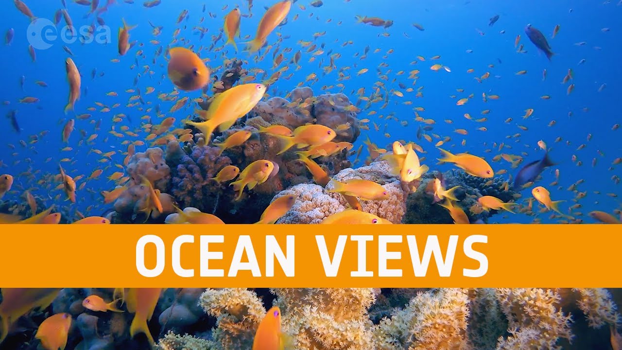 Ocean views from space | Meet the experts