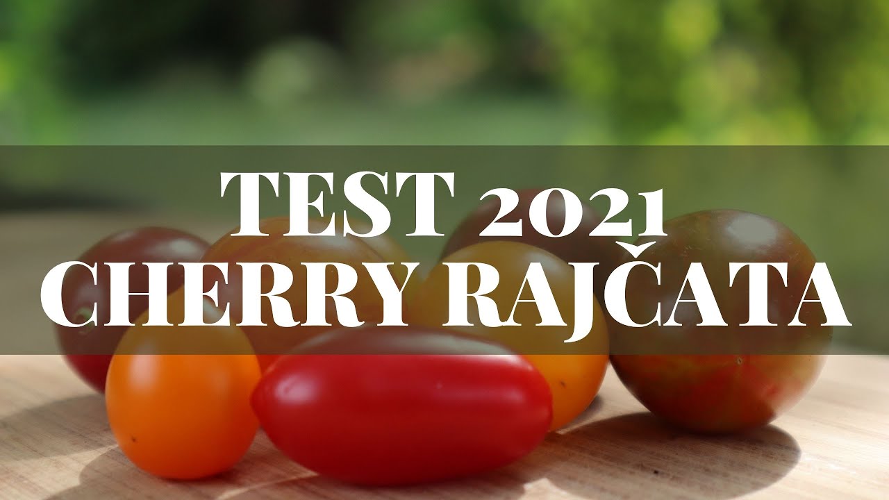 Test Cherry rajčat sezóny 2021