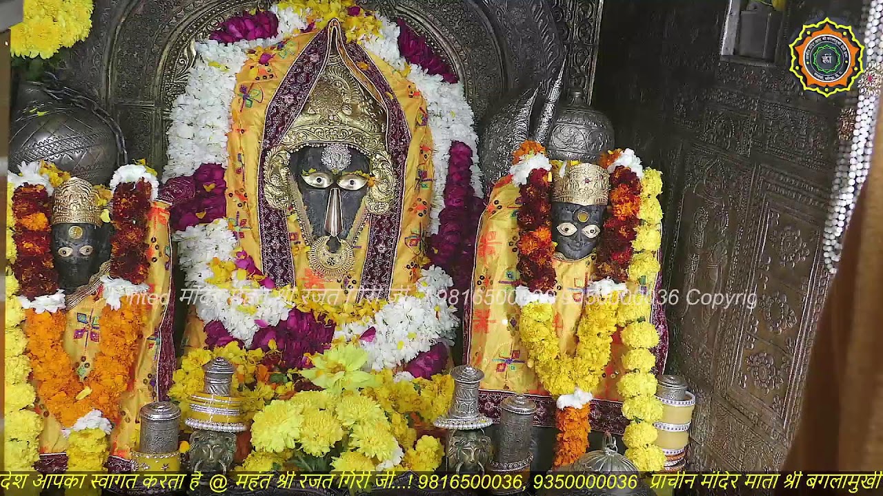 Maa Baglamukhi Official_Live Darshan_mahant shree Rajat giri ji_