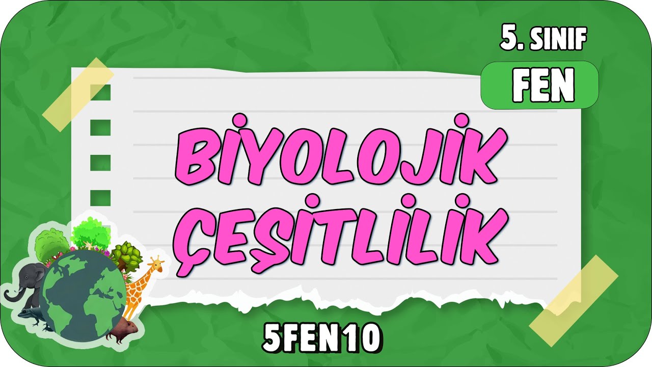 Biyolojik Çeşitlilik 📗 5. Sınıf Fen #2024