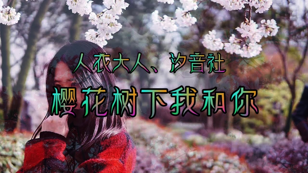 人衣大人、汐音社 - 樱花树下我和你【树后的少女羞红脸颊 听少年说表白情话 】