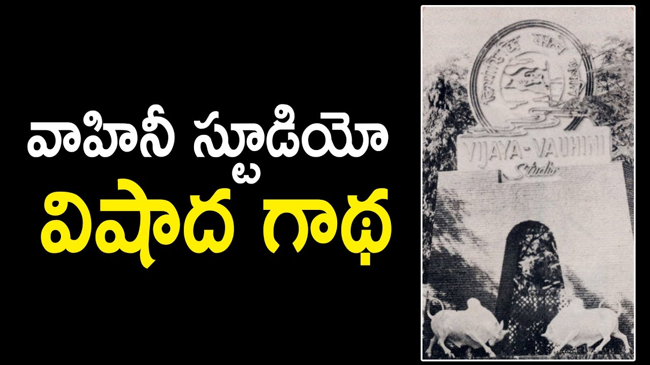 Untold Story About Vahini StudioVahini
