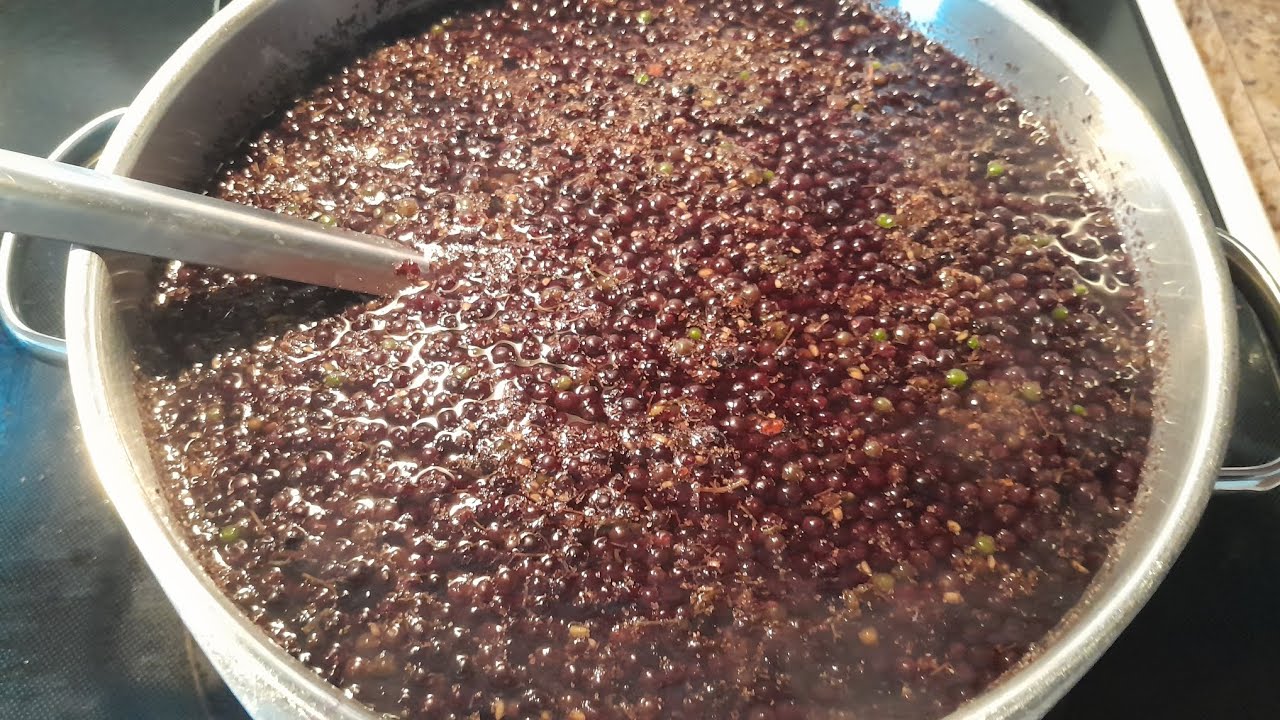 Making Elderberry Mead - full recipe in description
