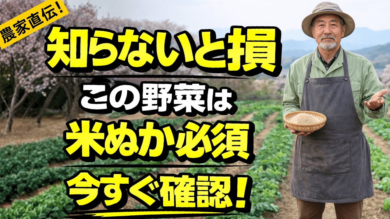 【 99％の家庭菜園が知らない 】【使わなきゃ損】米ぬかで効果が出やすい野菜5選 今すぐ知ってください 【米ぬか】 【土づくり】 【家庭菜園】