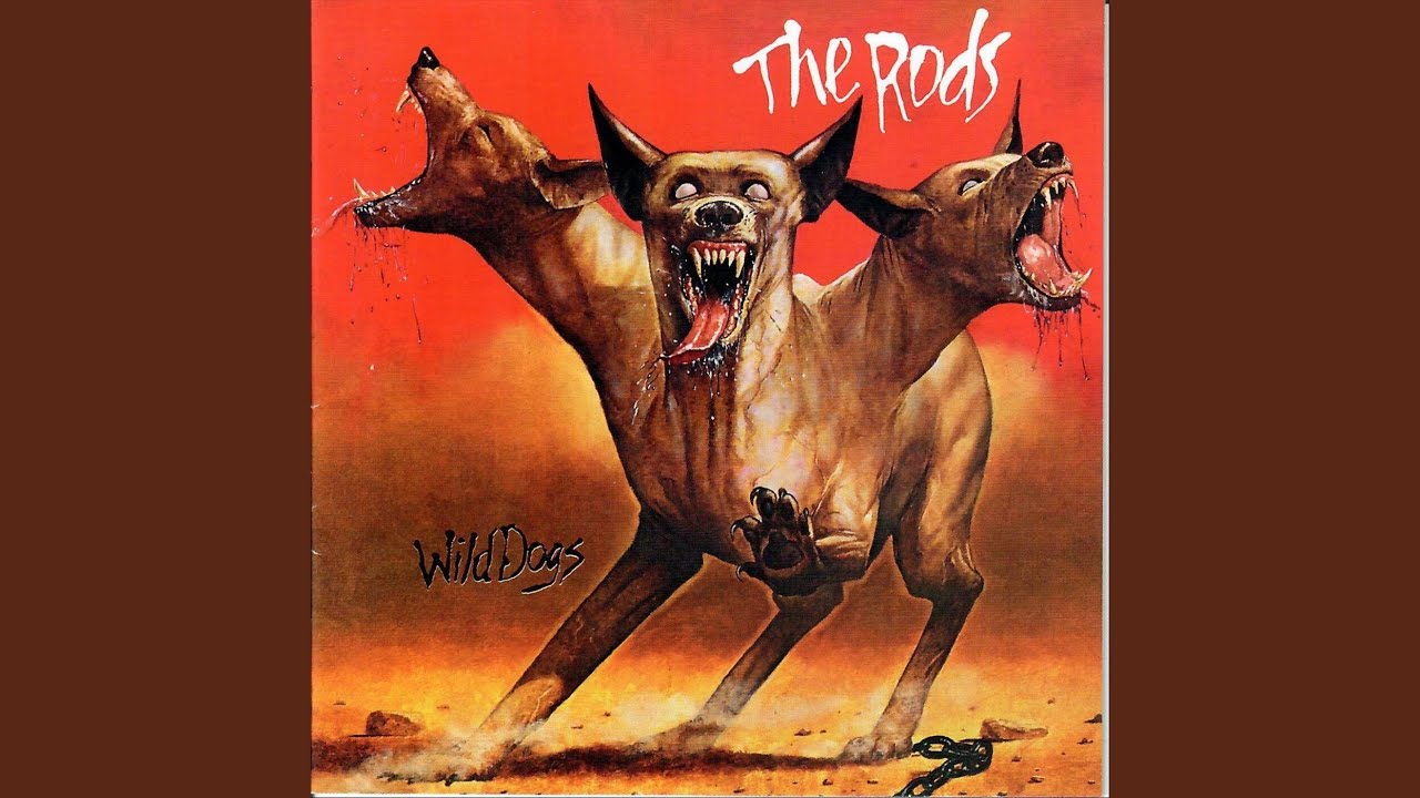 The Night Lives to Rock