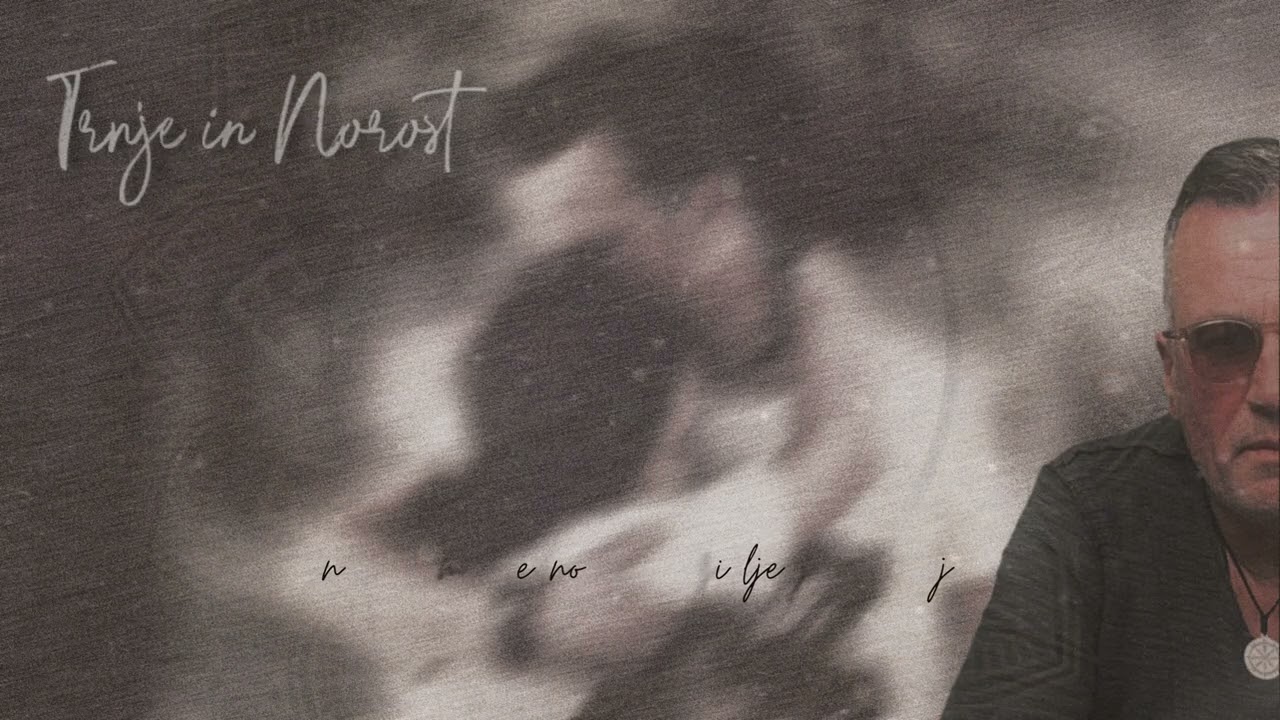 Taddei - Trnje in norost (Official lyrics video)