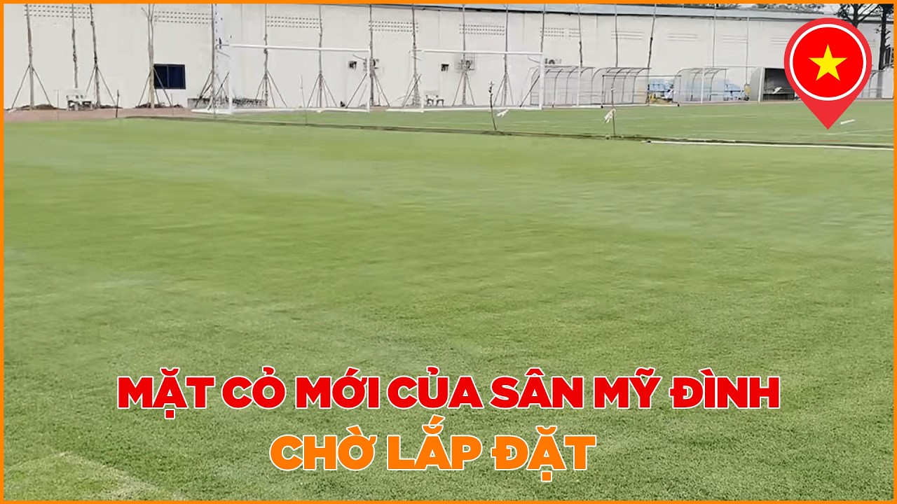CẬN CẢNH MẶT CỎ MỚI ĐANG CHĂM SÓC, CHỜ LẮP ĐẶT TRÊN SÂN MỸ ĐÌNH