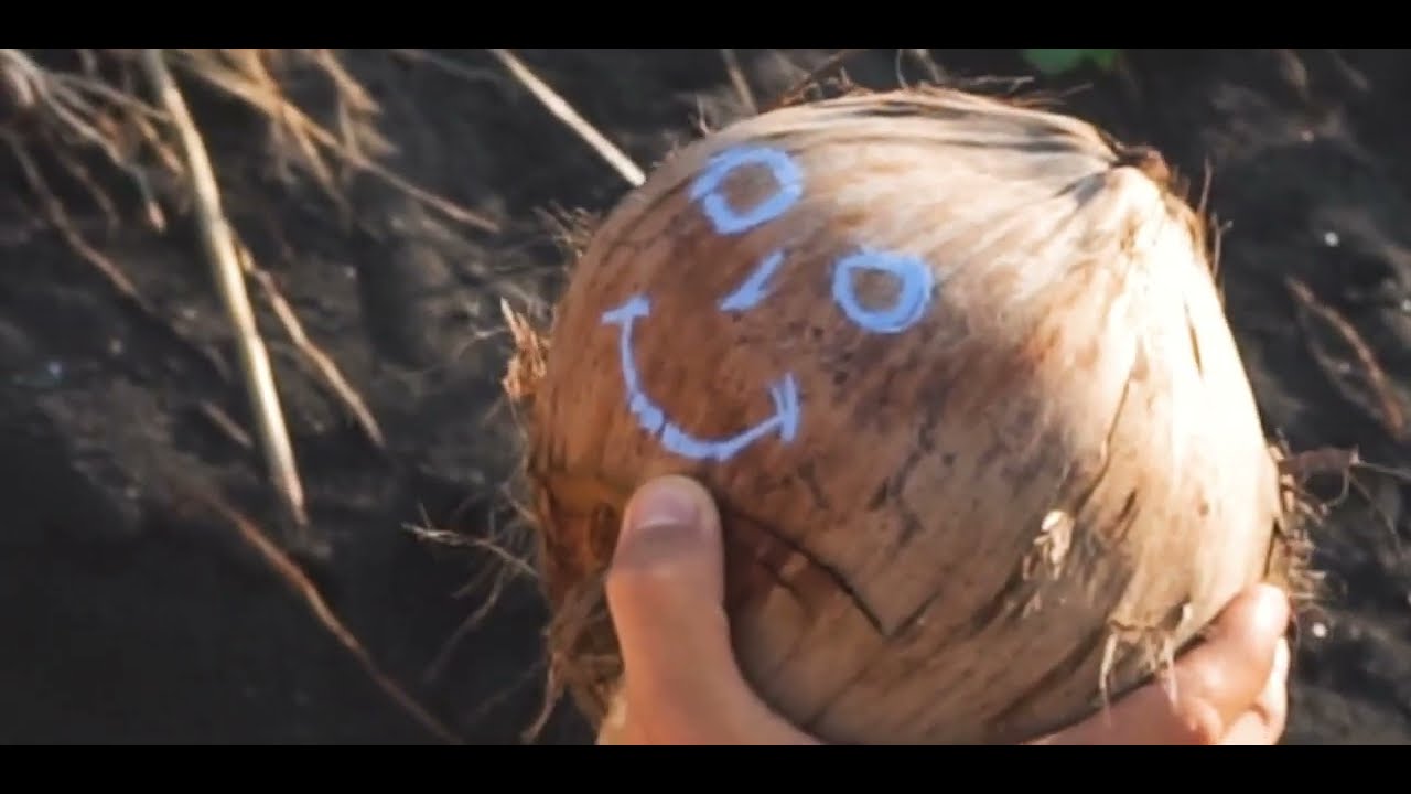 How To Make A Coconut Bowl