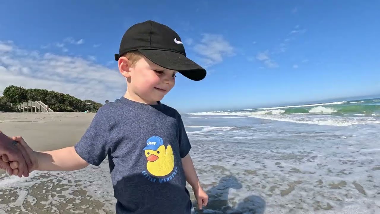 Beach Boys 