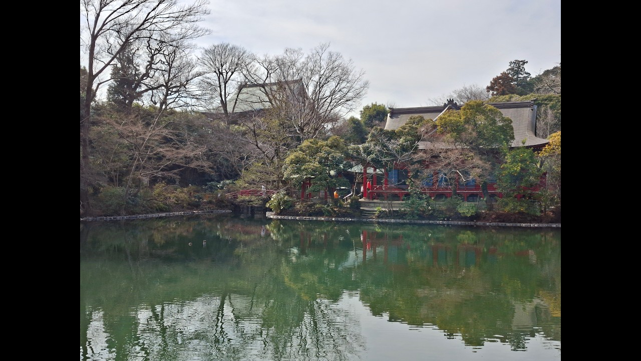 VIAGEM JAPAO - TOKYO 2a parte