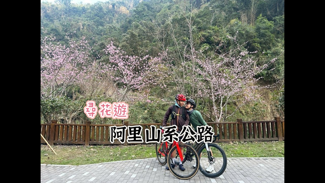 公路車騎旅-阿里山系公路尋花遊/大華公路-奮起湖/樟樹湖-瑞水公路