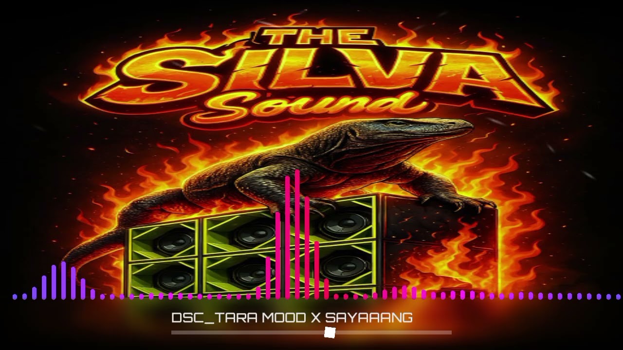 DSC - THE -SILVA SOUND