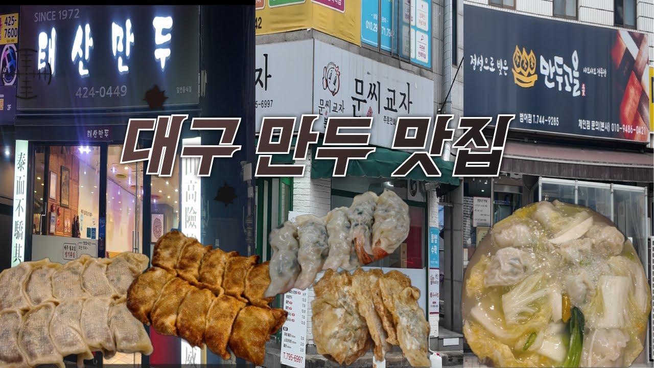 대구맛집 만두에 진심인 분들은 시청해 주세요 대구 만두 맛집 추천 영상입니다!!