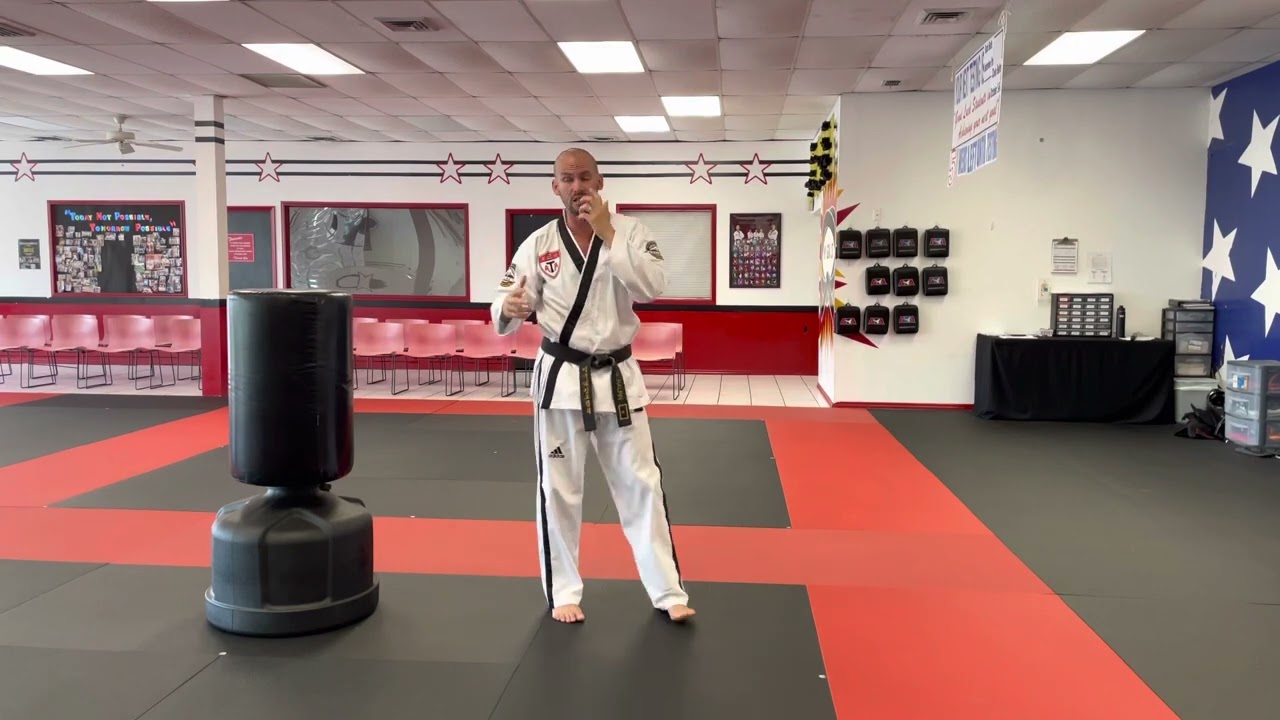 Reverse Side Kick