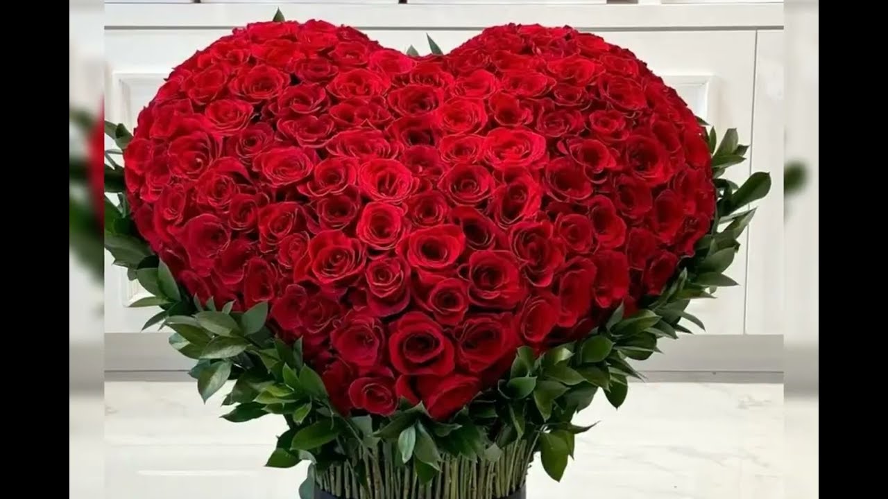 Red beutiful roses