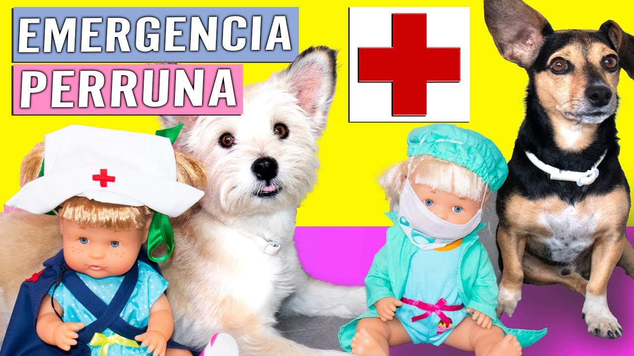 🐶 NOA Y NOÉ veterinarias de perritos! Visita de PERROS GUAU GUAU!  Los cachorros hablan! Son bebés