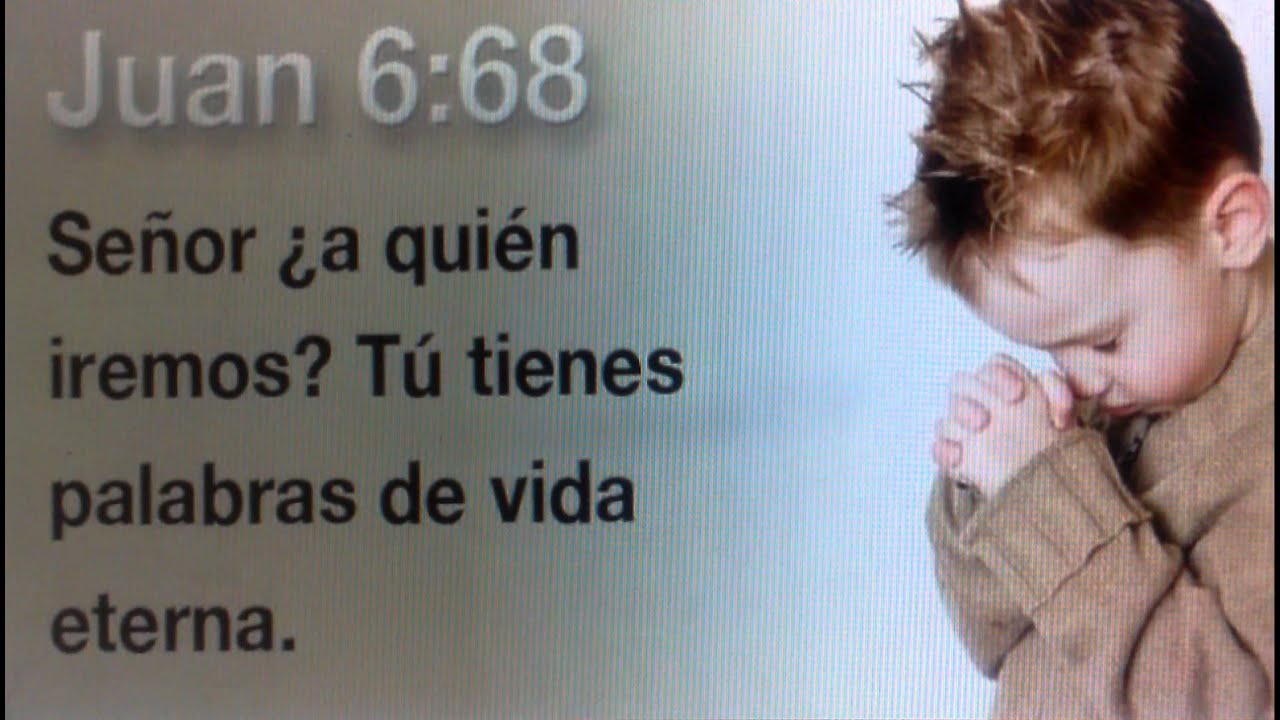 Palabras de Vida Eterna
