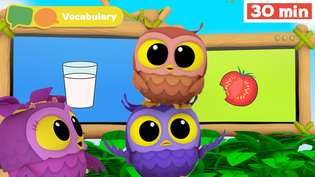 Hoot, Scoot & What | Learn Vocabulary for Kids | First Words & ABC alphabet  | Animals for Babies