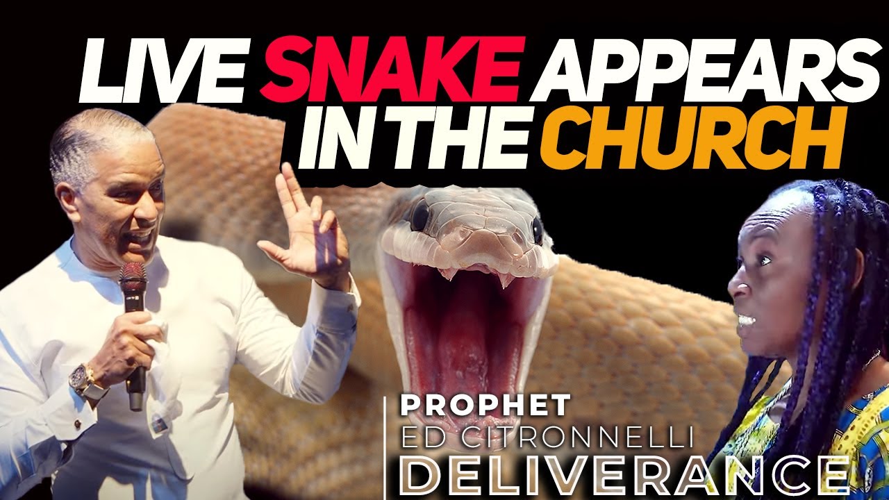 SHOCKING! LIVE SNAKE IN THE CHURCH! Slithers to Prophet - Ed Citronnelli
