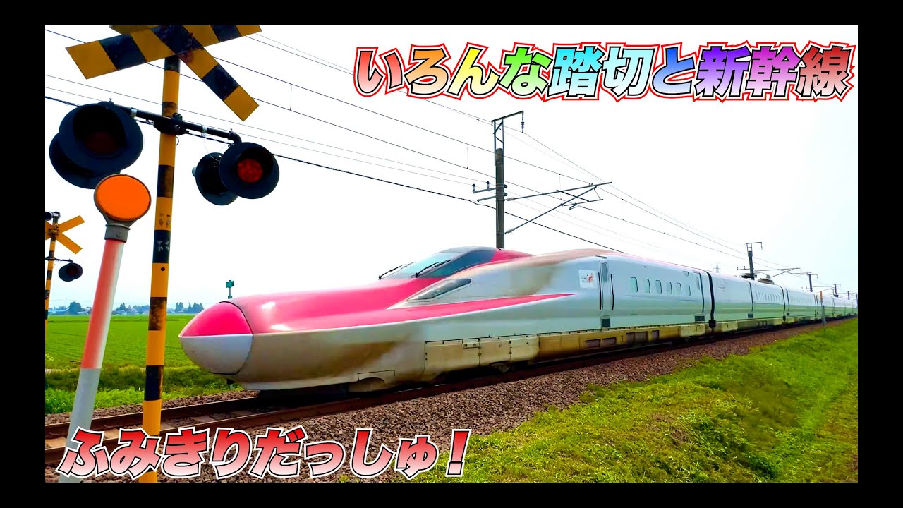 【電車40分！】人気　踏切　いろんな電車と新幹線　こまち　つばさ　かがやき　はやぶさ　いなほ　上沼垂色　ピカチュウ　鉄道　train railway railrord E8系　E6系　kereta